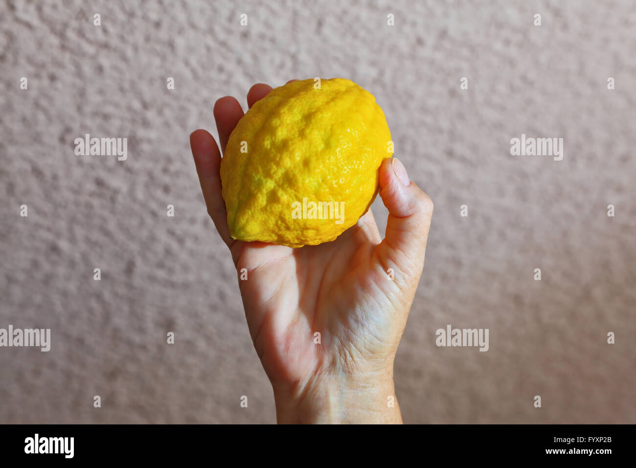 Autunno festa ebraica Foto Stock