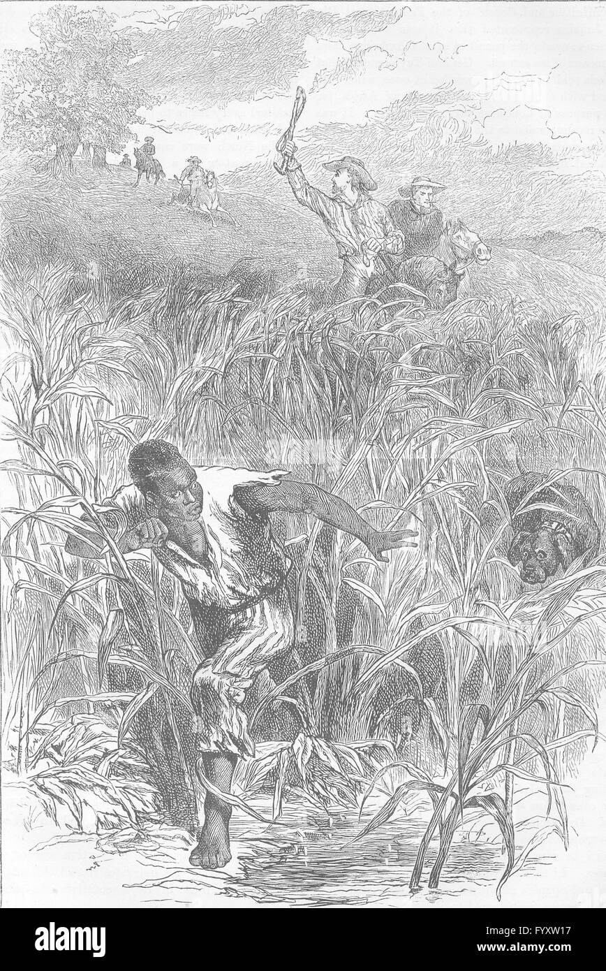 USA: uno schiavo-hunt, antica stampa c1880 Foto Stock
