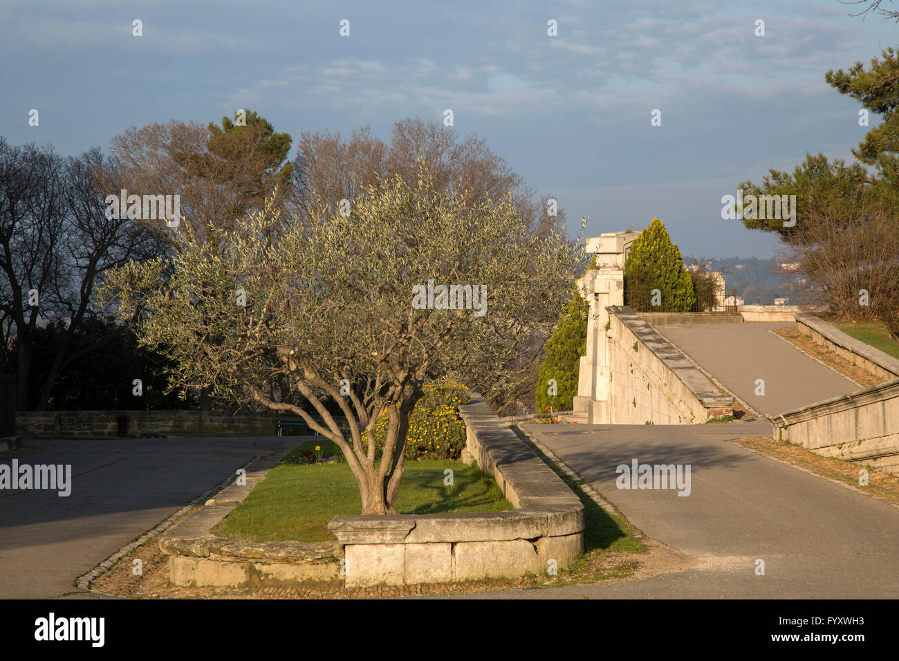 Rocher des Doms Park, Avignon, Francia Foto Stock