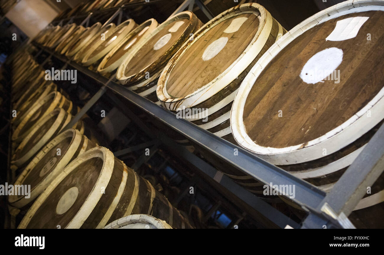 Barili di brandy alla prugna Foto Stock