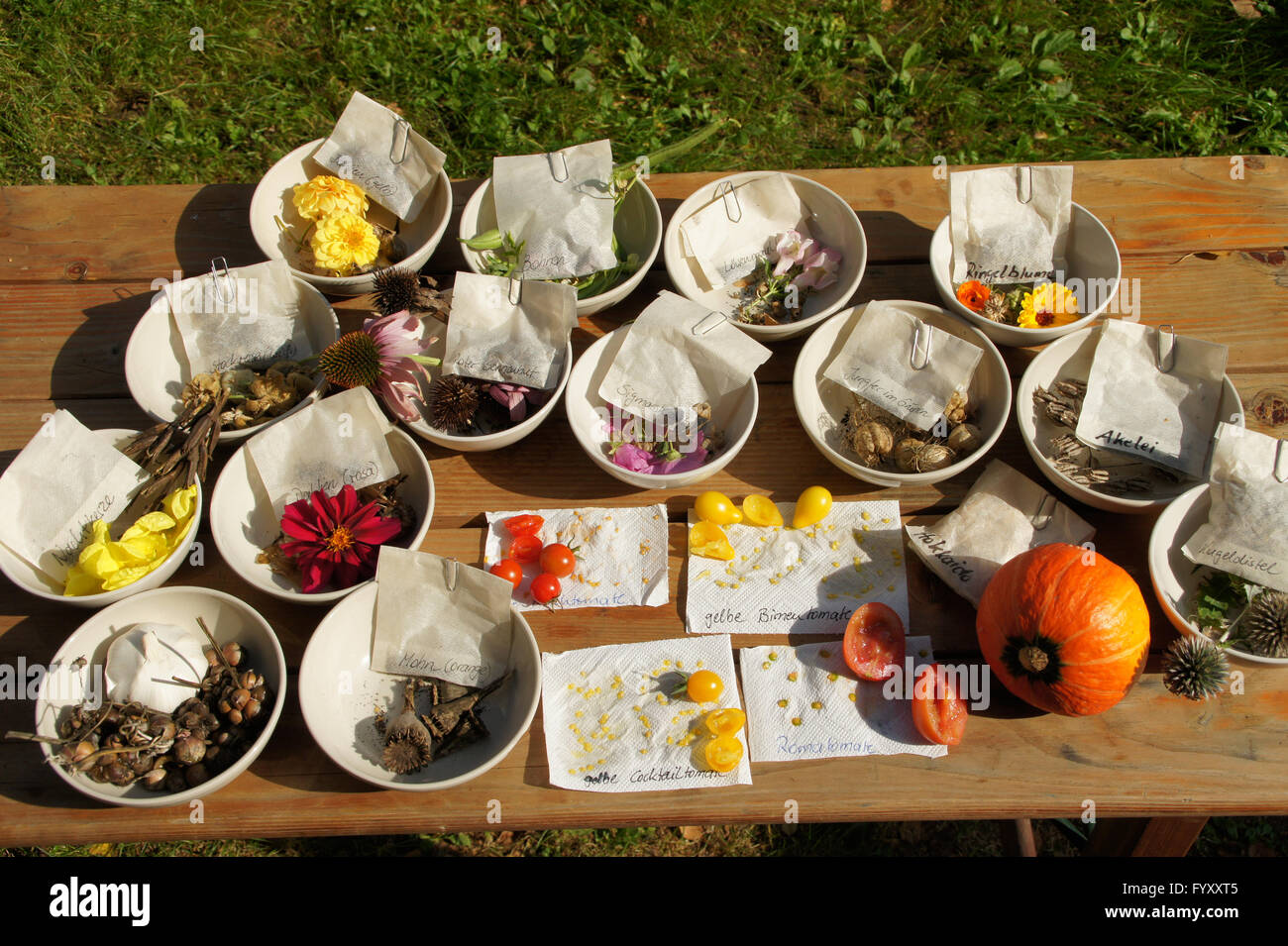 Le sementi di ortaggi e fiori Foto Stock