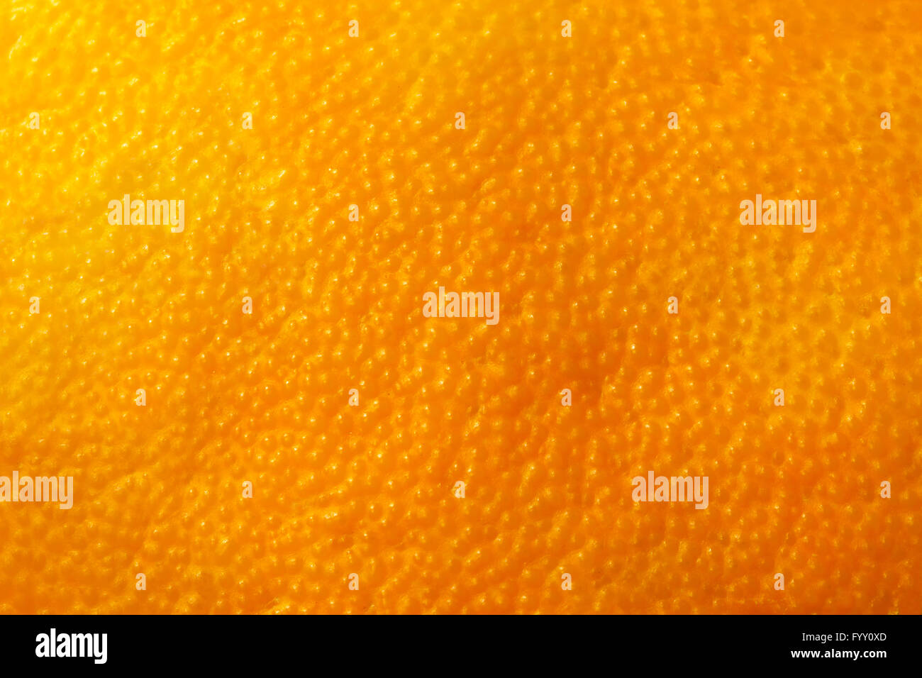 Orange buccia del frutto di sfondo naturale Foto Stock