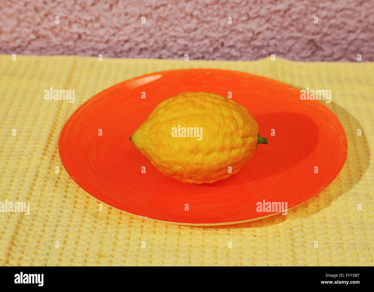 Ebraico etrog Foto Stock