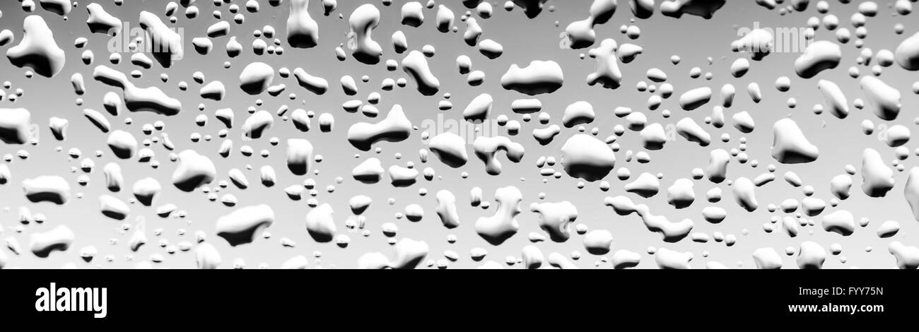 Le gocce di pioggia sul vetro, sfondo bianco e nero Foto Stock