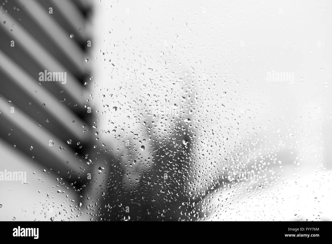 Le gocce di pioggia sul vetro, sfondo bianco e nero Foto Stock