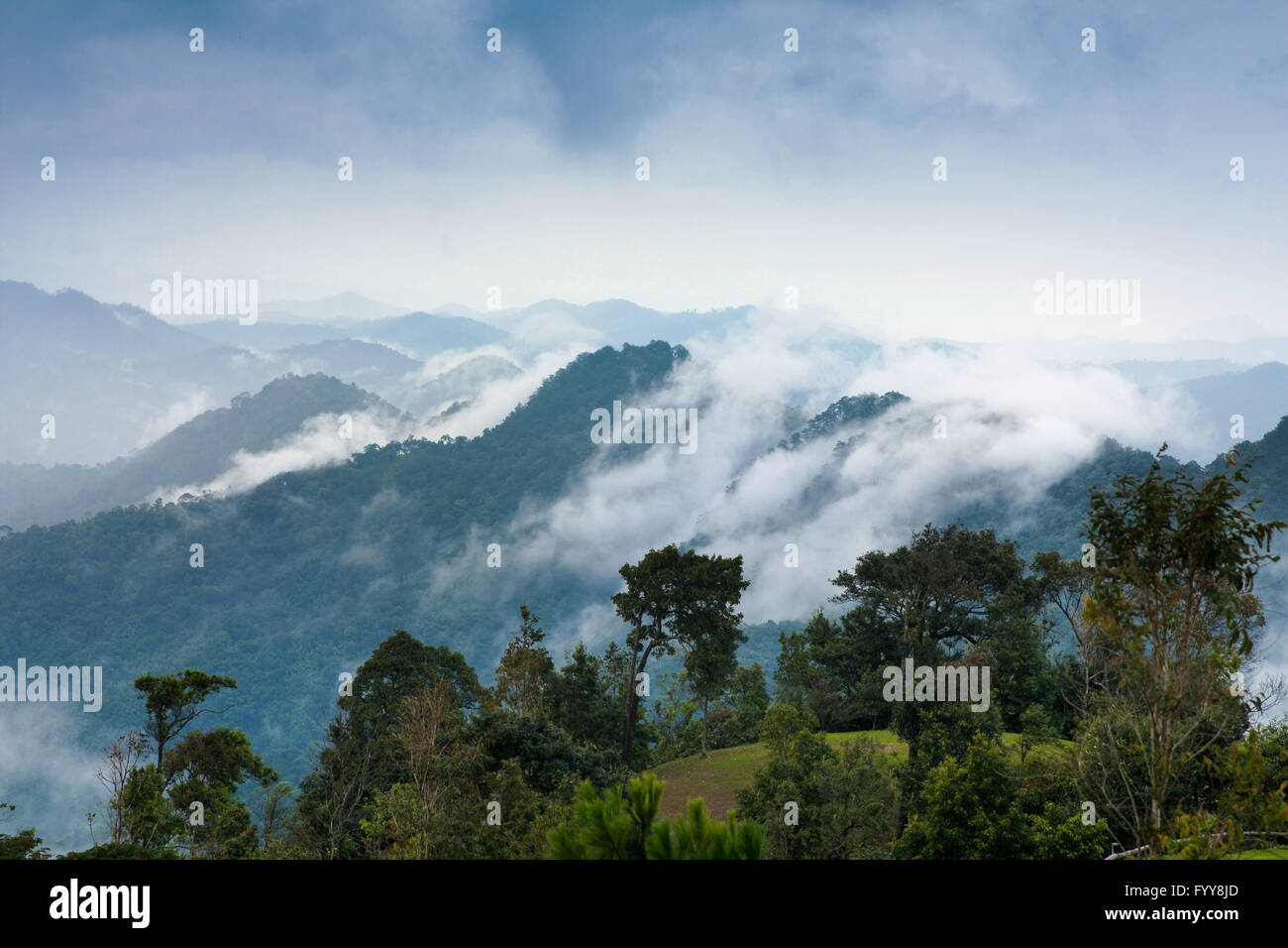 Il flusso della nebbia a foresta pluviale tropicale e il paesaggio di montagna Foto Stock