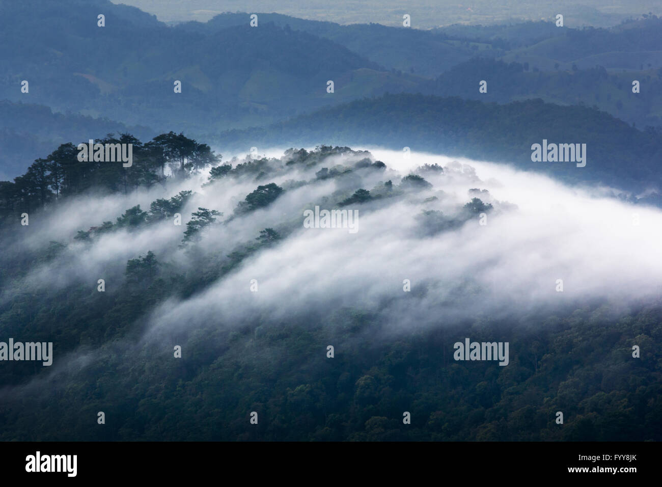 Il flusso della nebbia a foresta pluviale tropicale e il paesaggio di montagna Foto Stock