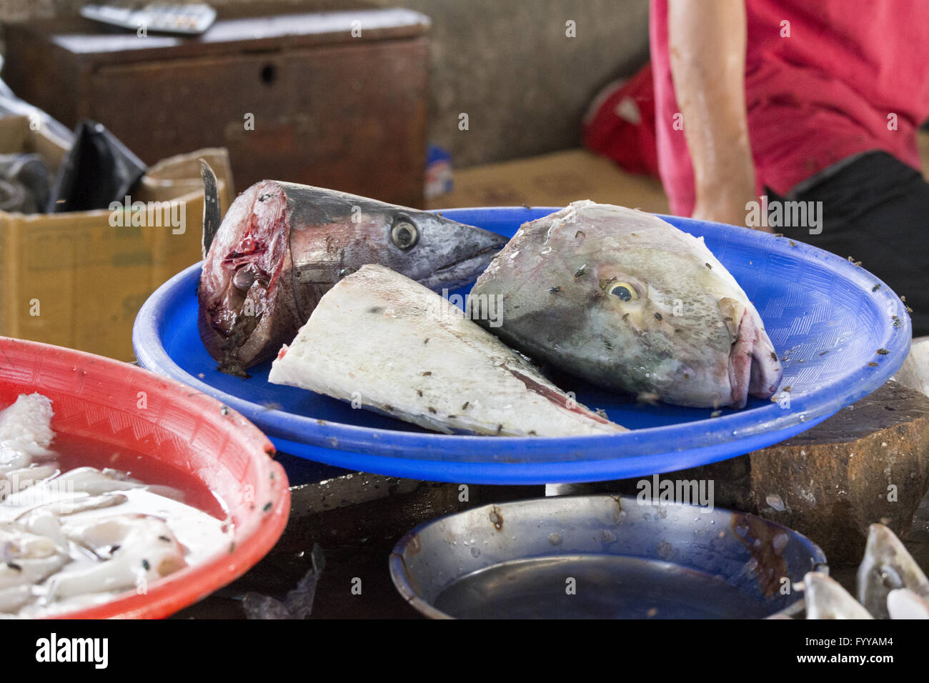 Foto da esotici tradizionale mercato tribale pasar in Indonesia sull'isola di Kalimantan, pesci secchi, Indonesia Foto Stock