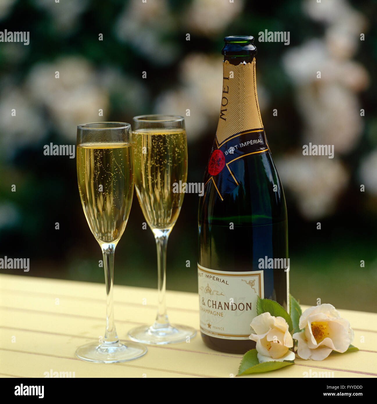 Due bicchieri di champagne Moet versata come una celebrazione, all'esterno. Foto Stock