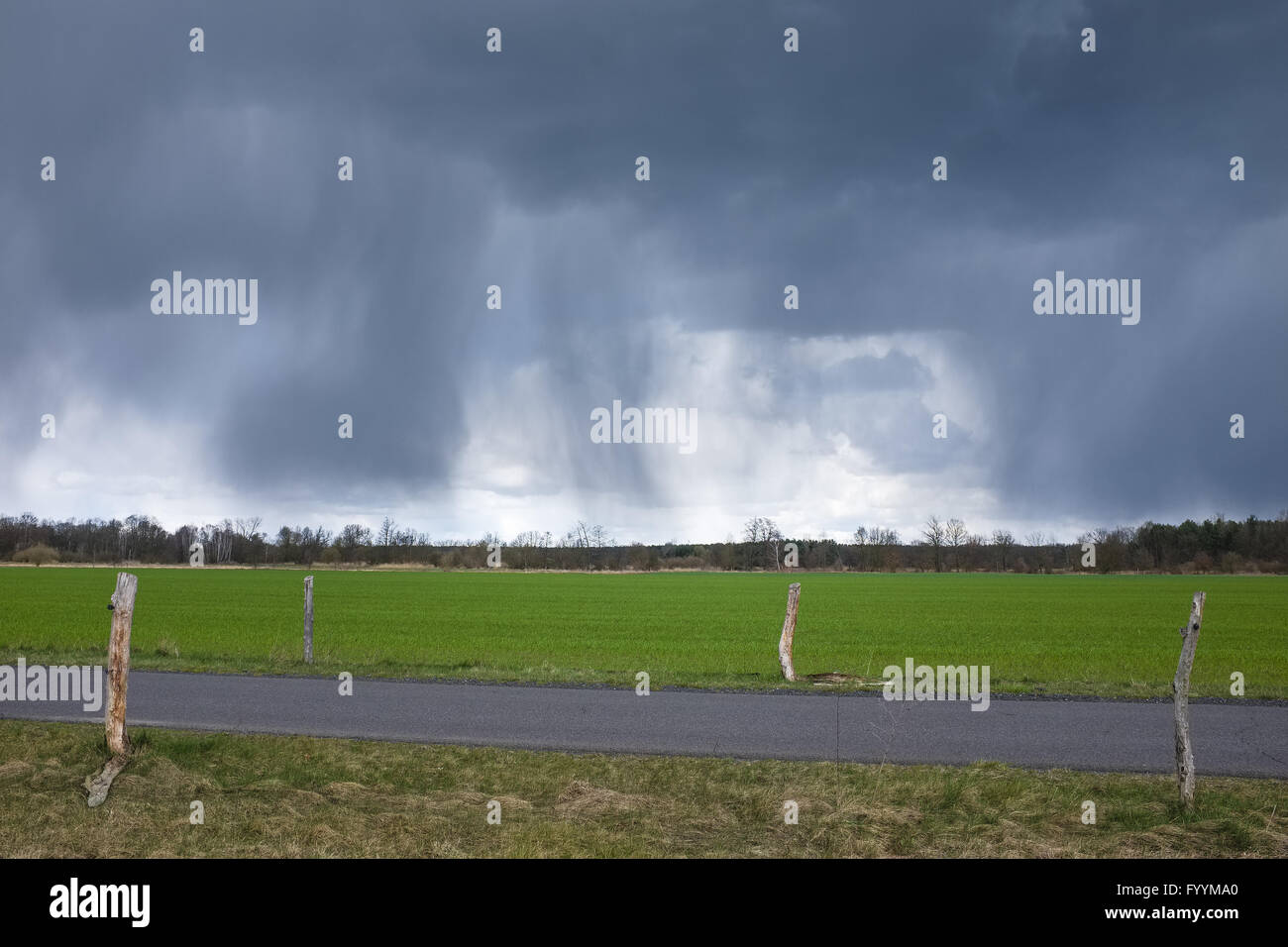Pioggia nuvole su campi, Brandeburgo, Germania Foto Stock