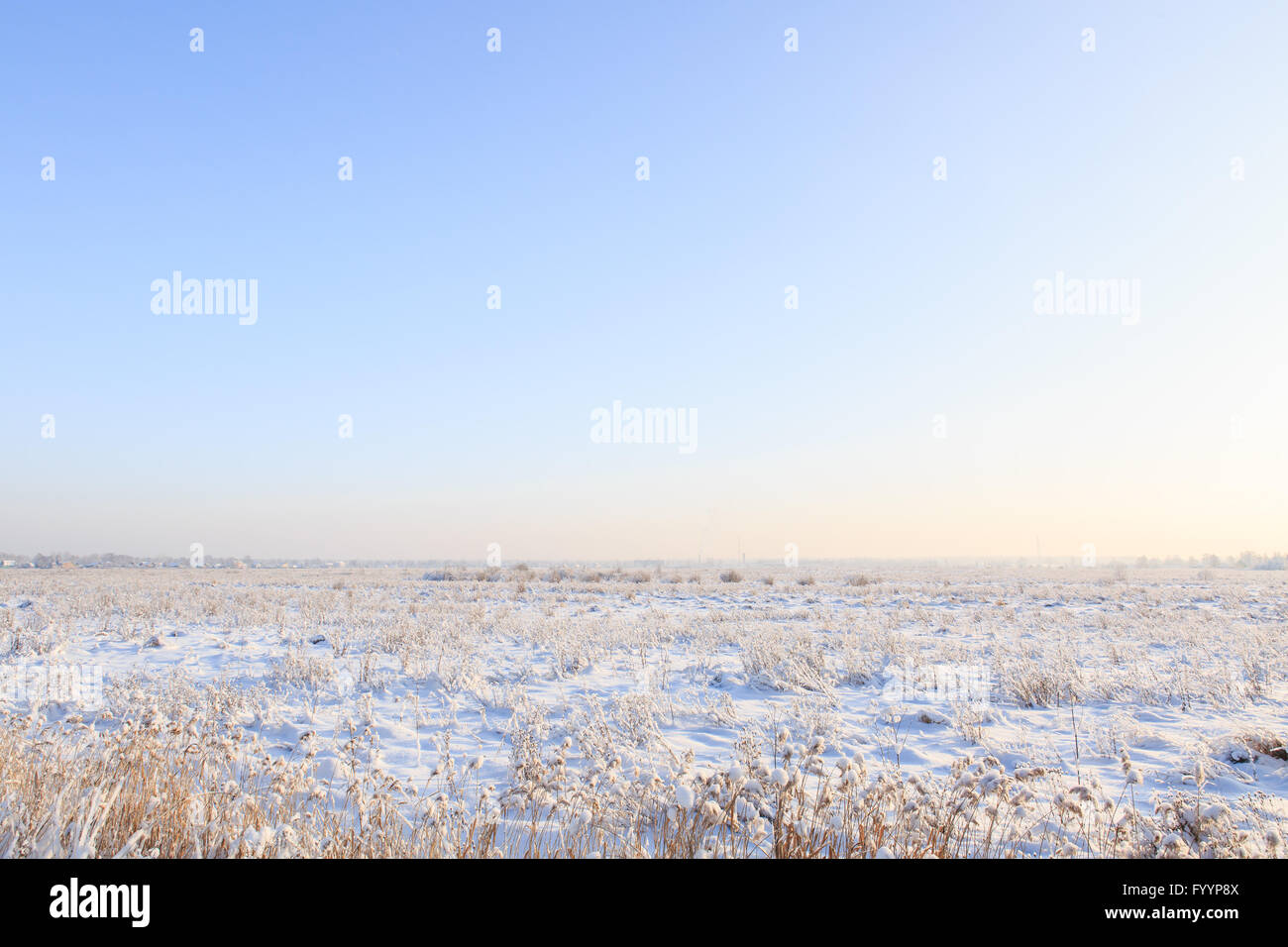 Snow-campo coperto con erba Foto Stock