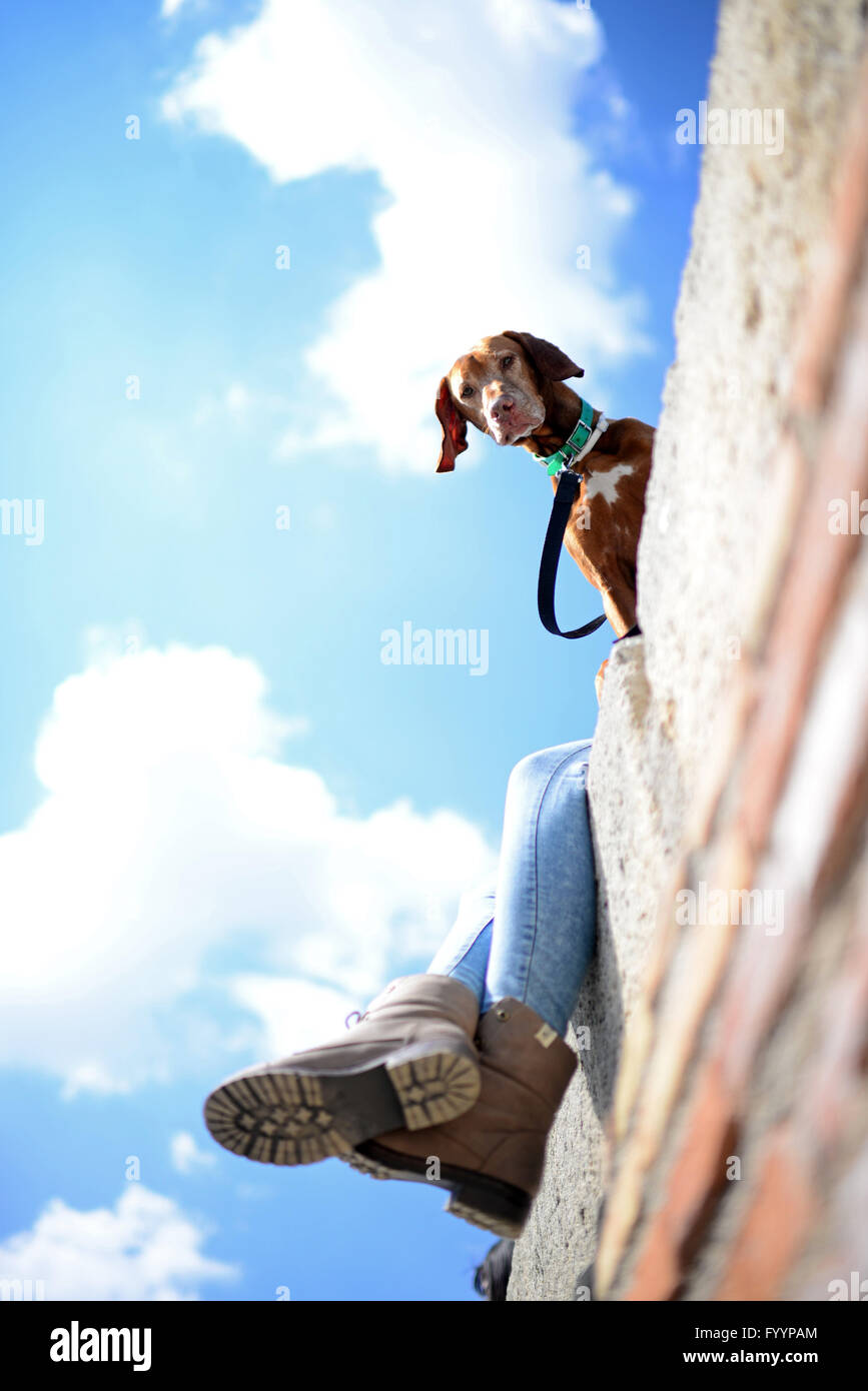Cane marrone con il proprietario a Mirador de San Nicolas (San Nicolas Viewpoint) nel quartiere Albaicin, il vecchio quartiere moresco Foto Stock