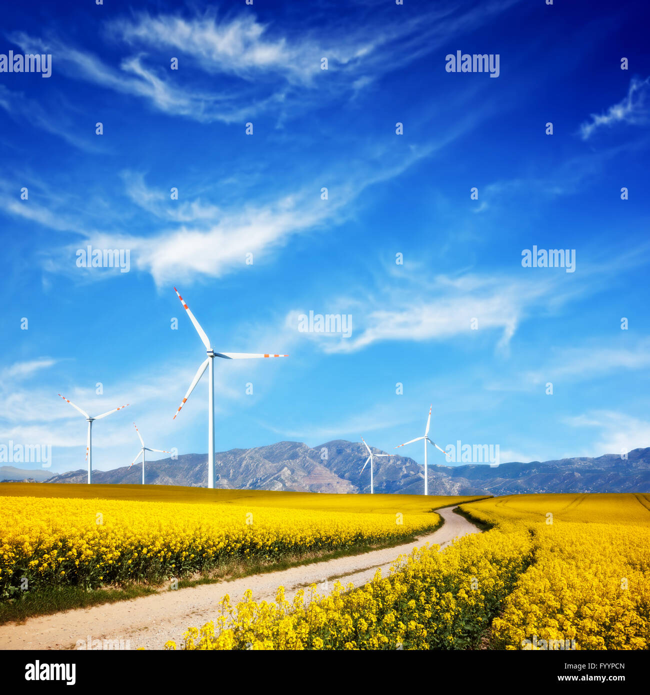 Le turbine eoliche sul campo primaverile. Alternativa Foto Stock