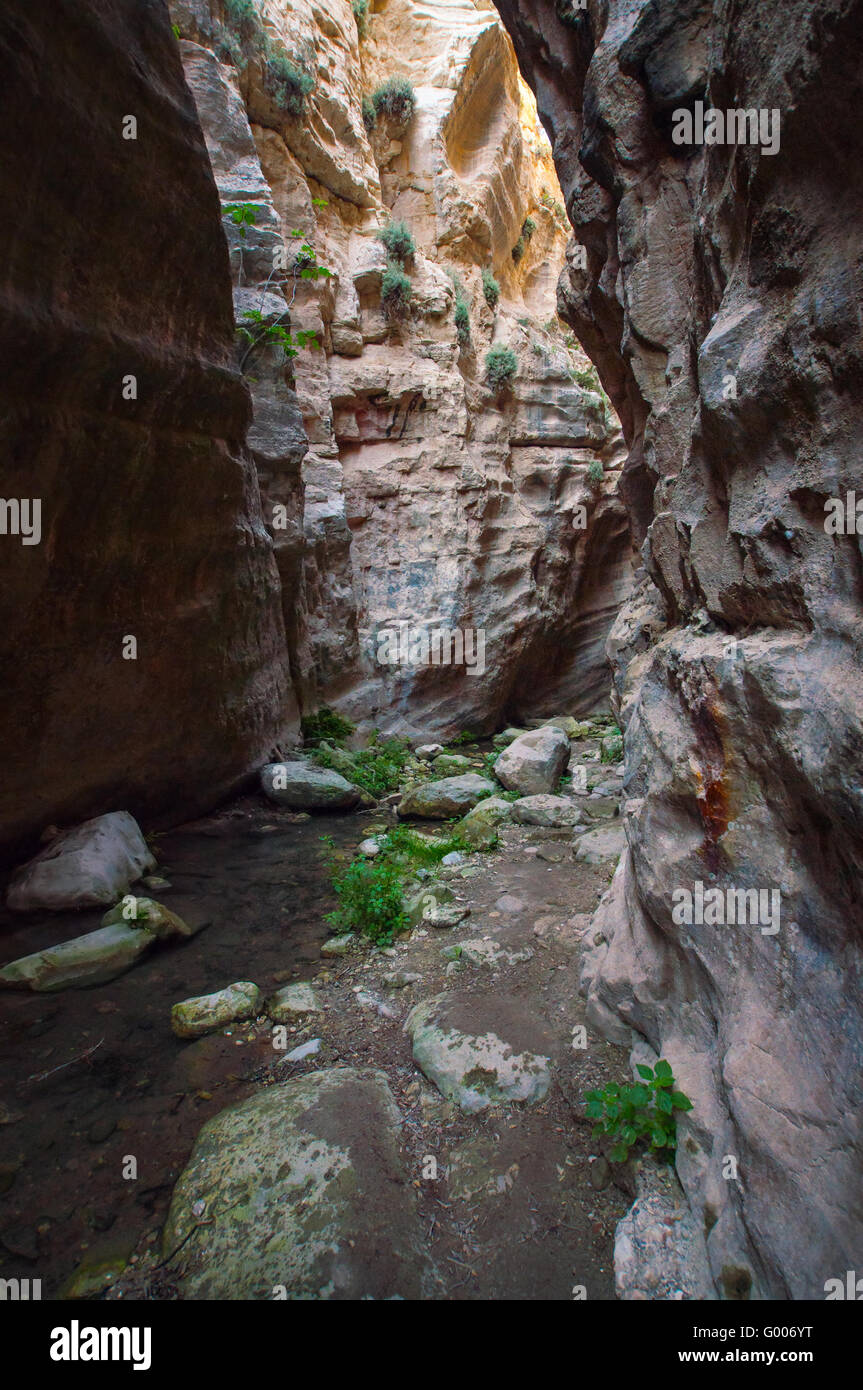 Canyon Avakas, Cipro, la penisola di Akamas. Foto Stock