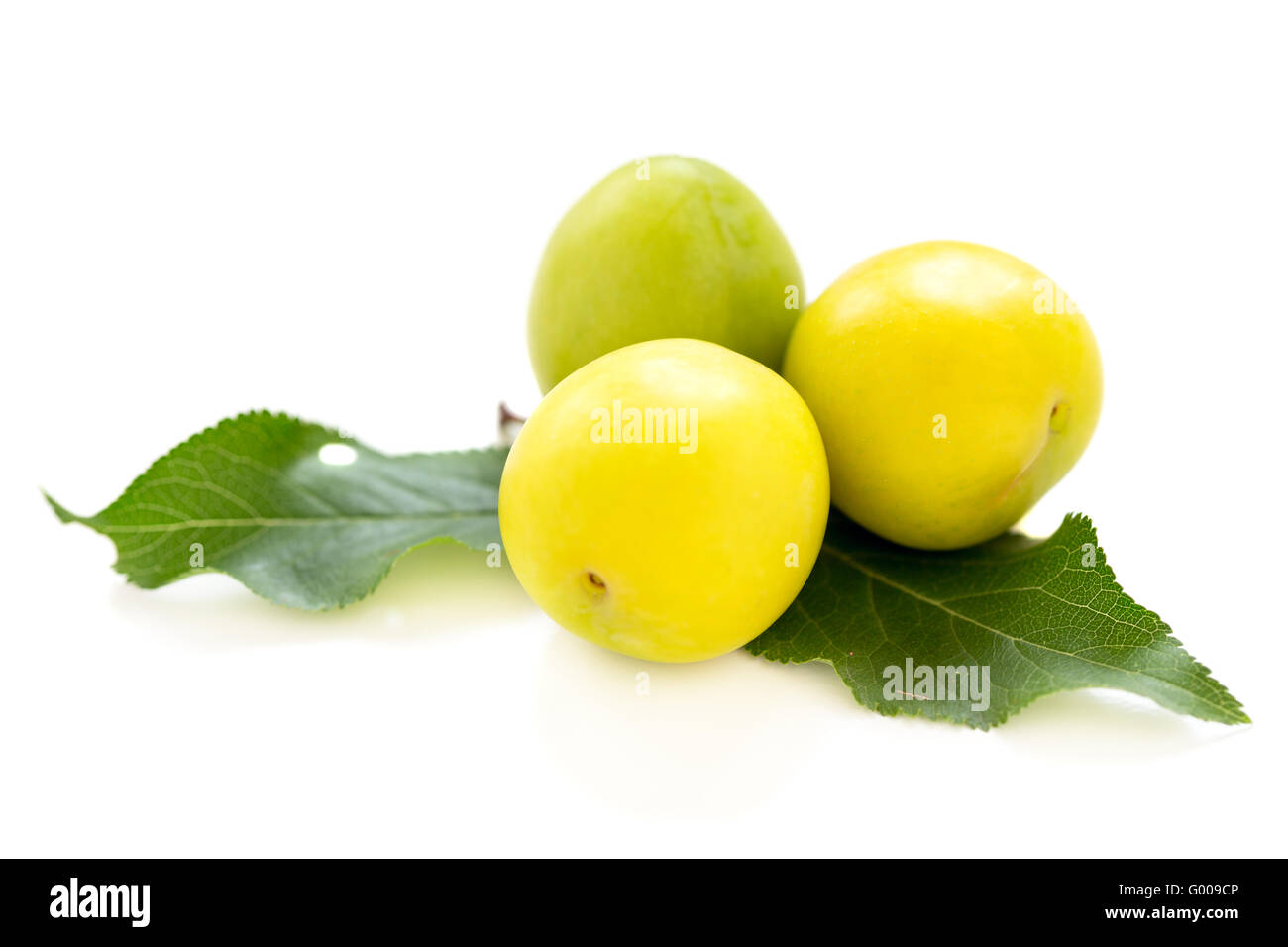 Tre piccoli giallo le prugne. Foto Stock