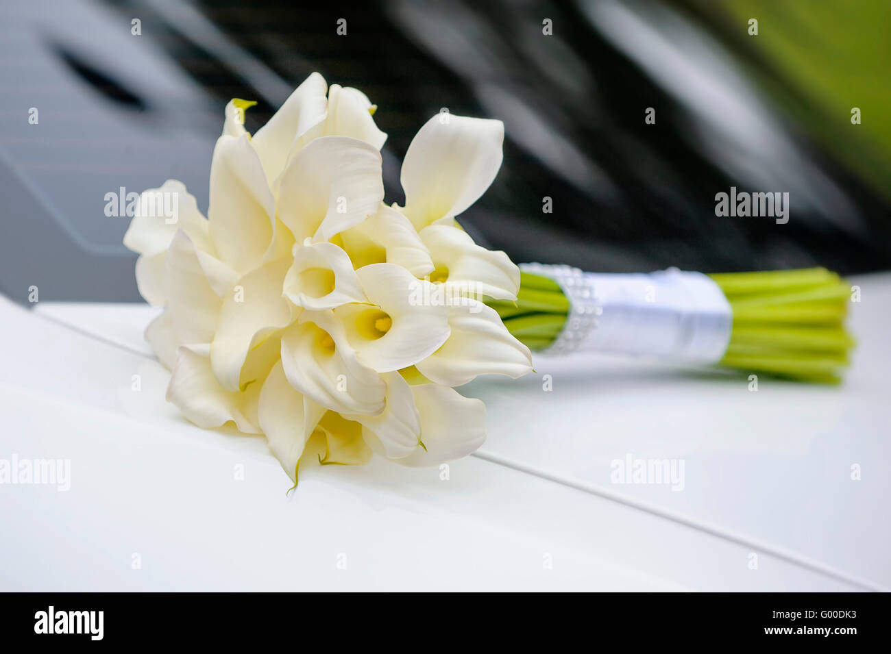 Bouquet nuziale di bianco calla Foto Stock