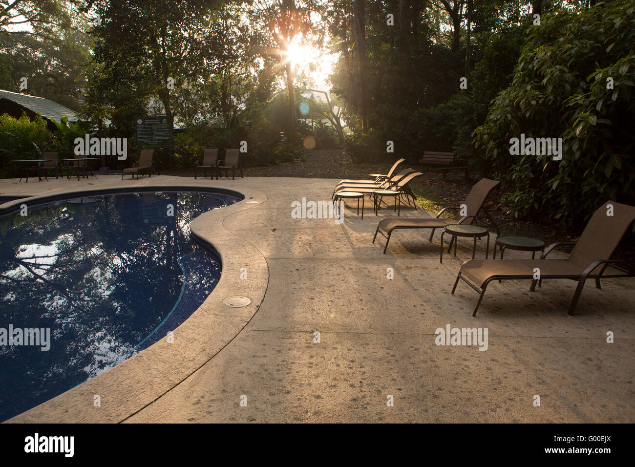 Alba sopra la piscina a Selva Verde Lodge at Sarapiqui in Costa Rica. Foto Stock