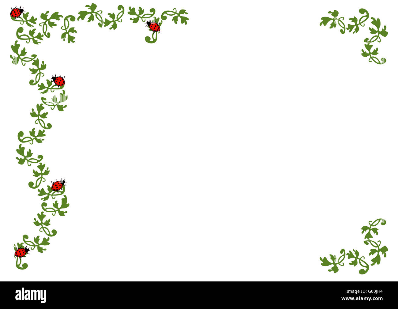 Weisser Hintergrund - Marienkäfer Foto Stock