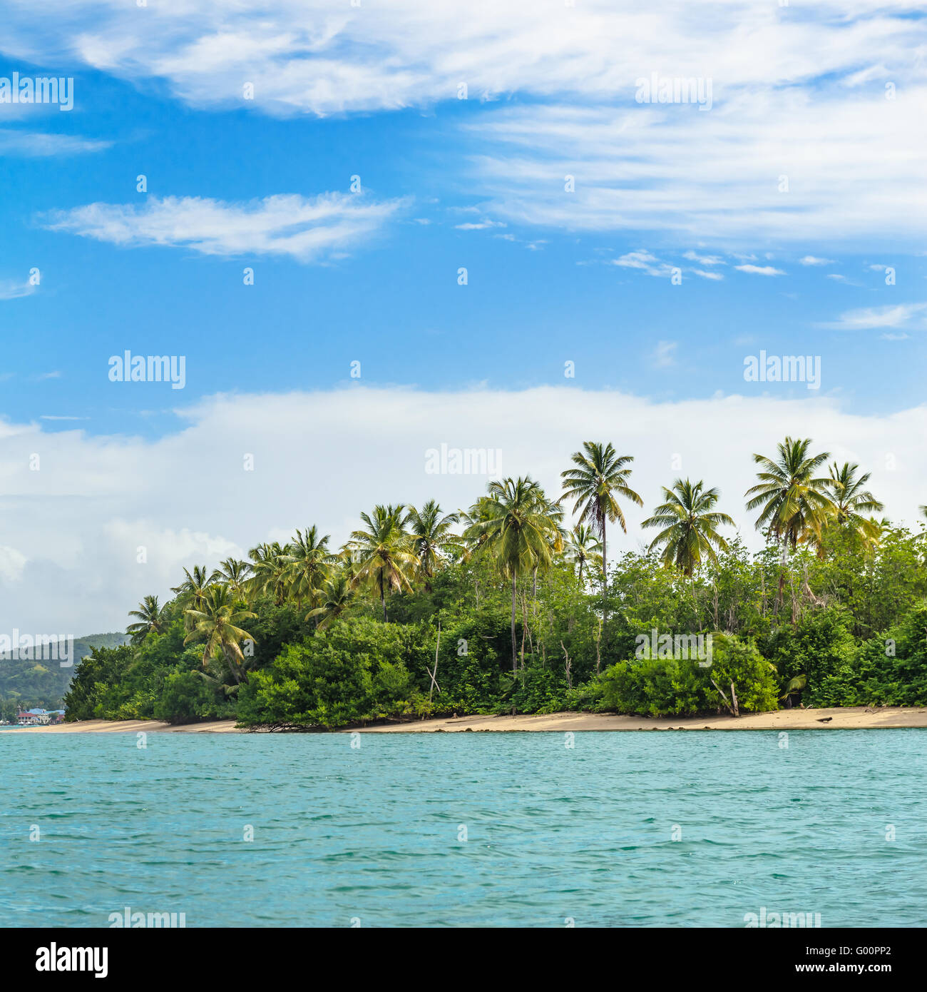 Vista ravvicinata di No Mans Land a Tobago West Indies isola tropicale square Foto Stock