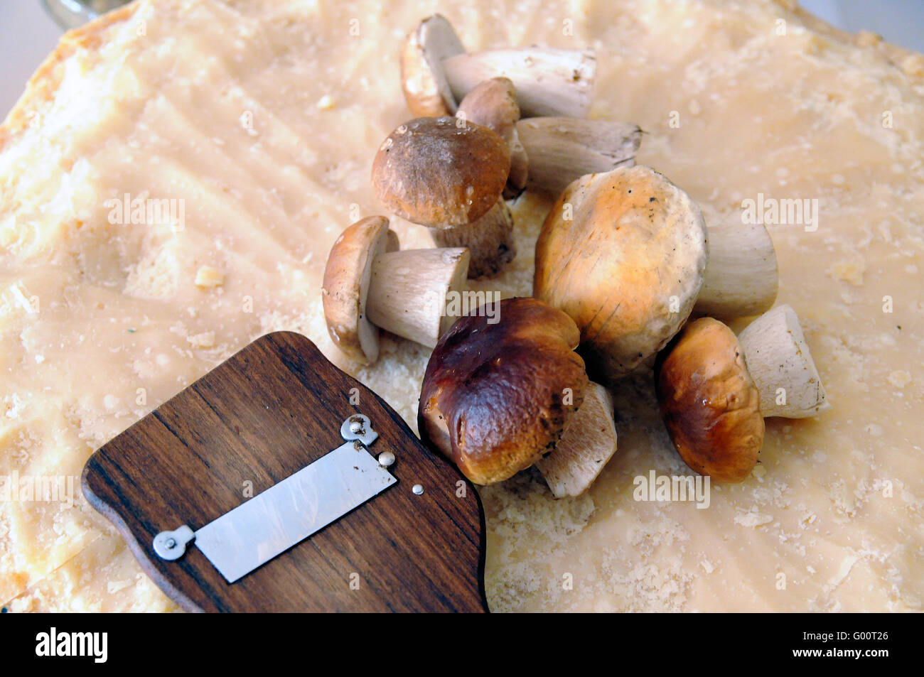 Funghi porcini Foto Stock