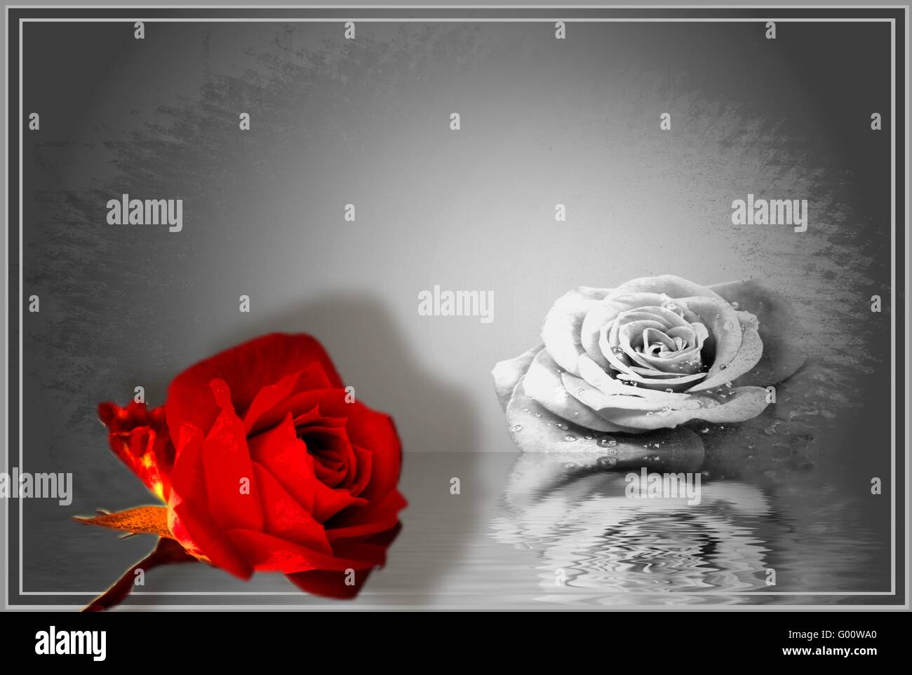 Fiori Foto Stock