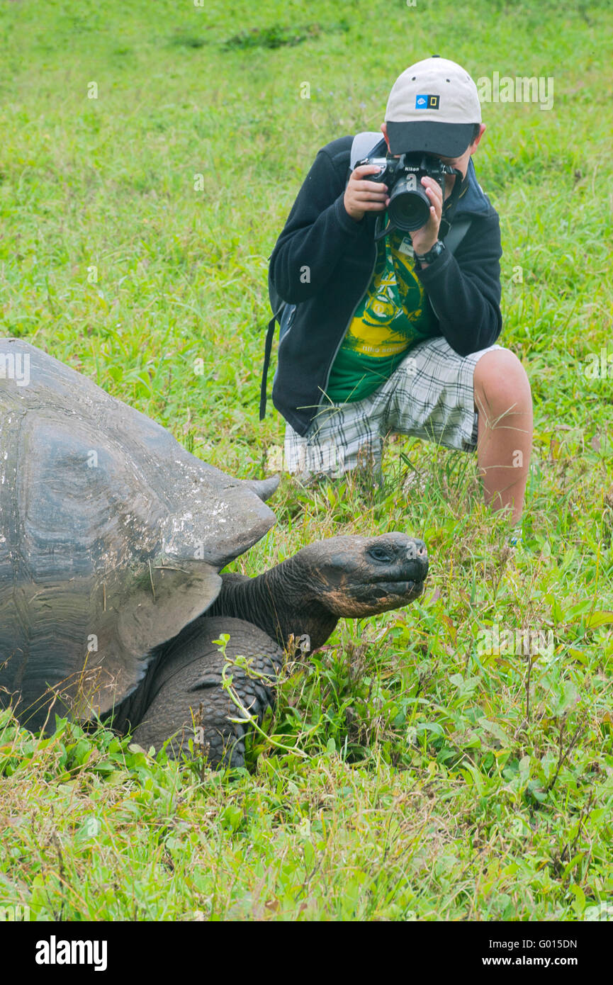 Ragazzo, di età 11, fotografando wild la tartaruga gigante, Isola di Santa Cruz, Isole Galapagos, Ecuador Foto Stock