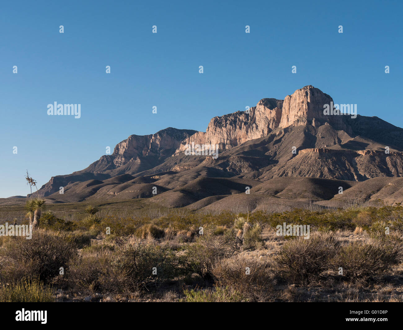 El Capitan e il Guadalupe Mountains da Williams Ranch Road, Parco Nazionale delle Montagne Guadalupe, Texas. Foto Stock