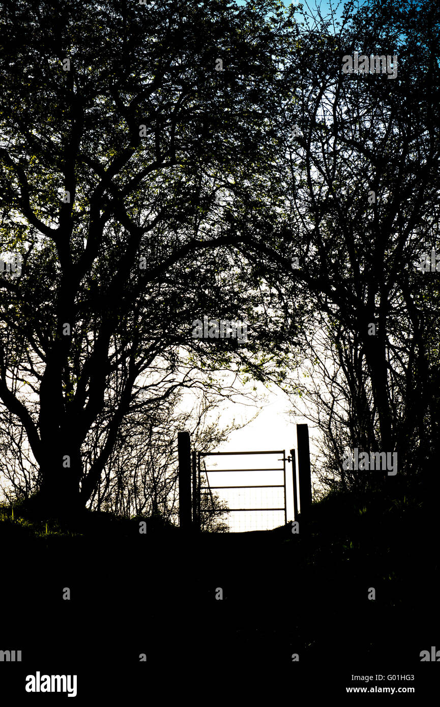Il sentiero porta di metallo e silhouette di siepe in Oxfordshire campagna. Inghilterra Foto Stock