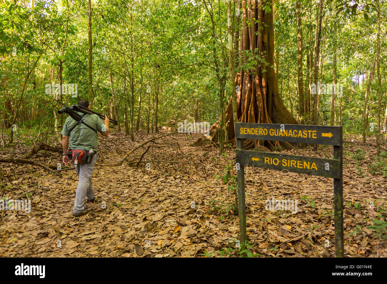Parco nazionale di Corcovado, COSTA RICA - Natura sentiero escursionistico segni e guida, osa penisola. Foto Stock