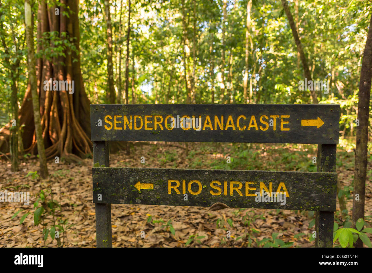 Parco nazionale di Corcovado, COSTA RICA - Natura sentiero escursionistico segni, osa penisola. Foto Stock