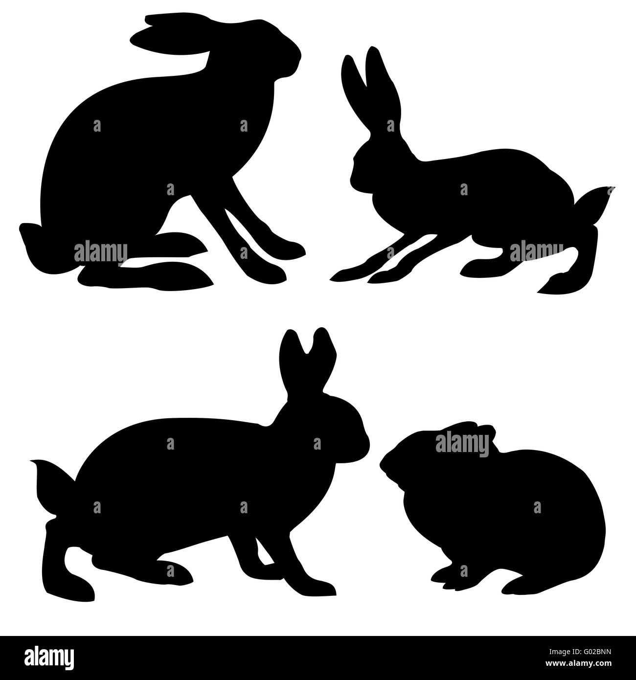 Sagome di lepre e coniglio su sfondo bianco Foto Stock