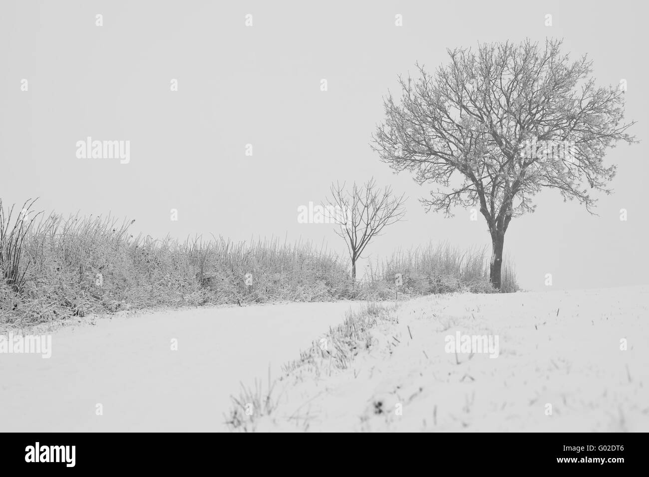 Percorso nevicato Foto Stock