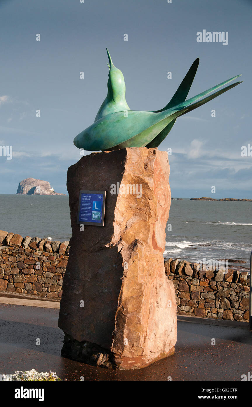 Il bronzo di una terna al di fuori della Scozia centro di uccello, North Berwick, guardando verso il basso Rock Foto Stock