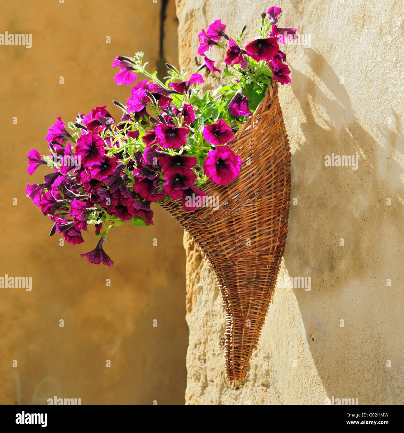 Bouquet di viola nelle petunie in un corno a forma di cesto su una parete a Pienza, Italia Foto Stock