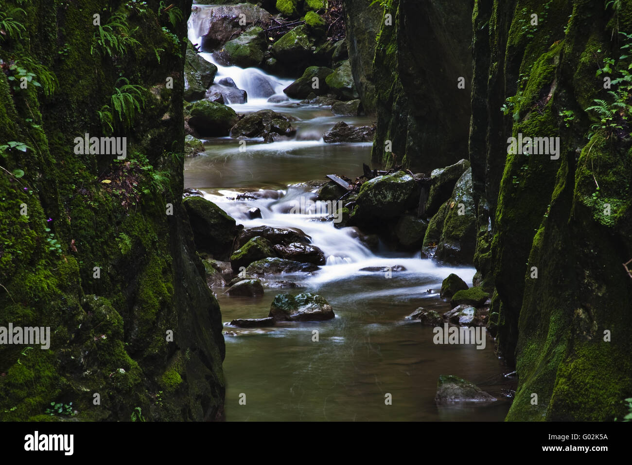 Ruscello di montagna Foto Stock
