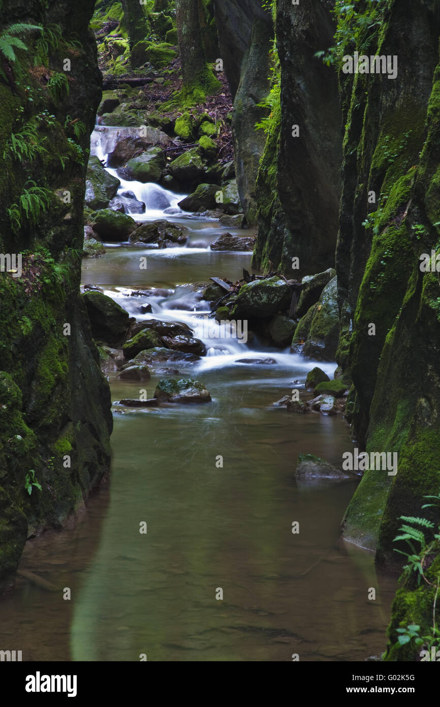 Ruscello di montagna Foto Stock