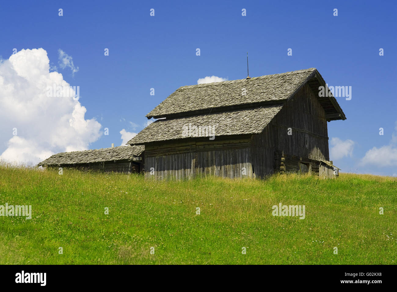 Pascoli di montagna Foto Stock
