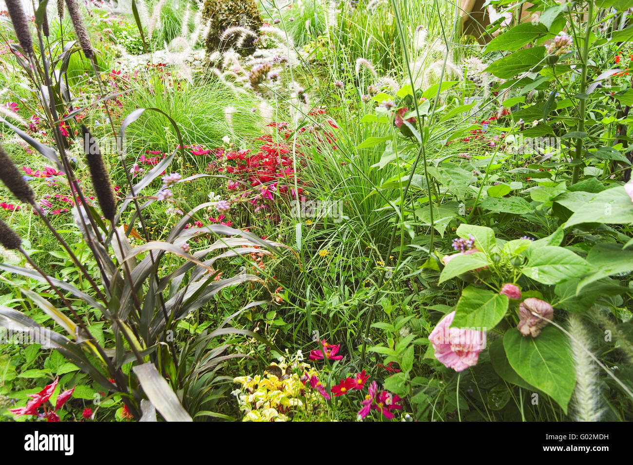Giardino di fiore Foto Stock