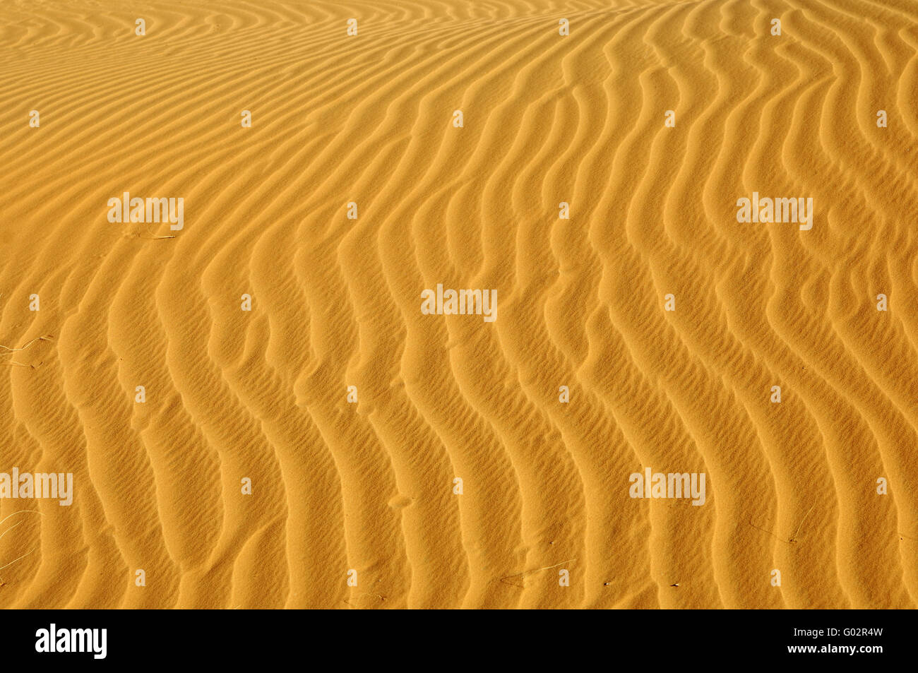 Strutture di sabbia su di una duna di sabbia, il deserto del Sahara Foto Stock