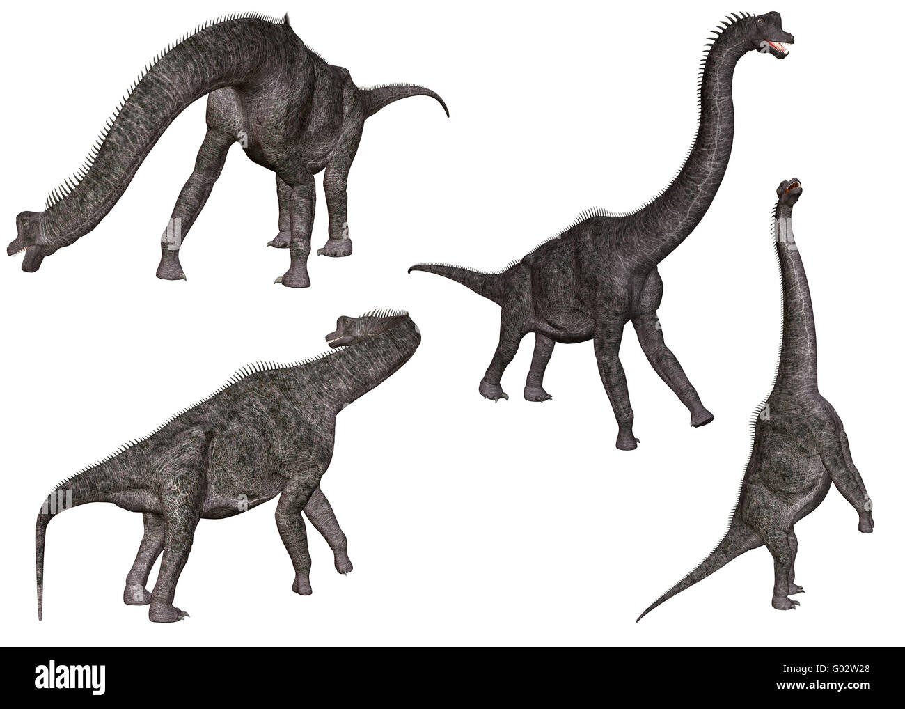 Un Brachiosaurus dall America del Nord Foto Stock