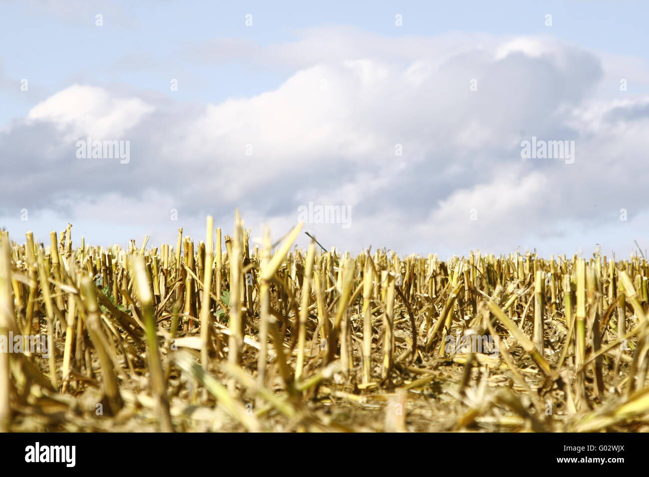 In autunno si sta avvicinando Foto Stock