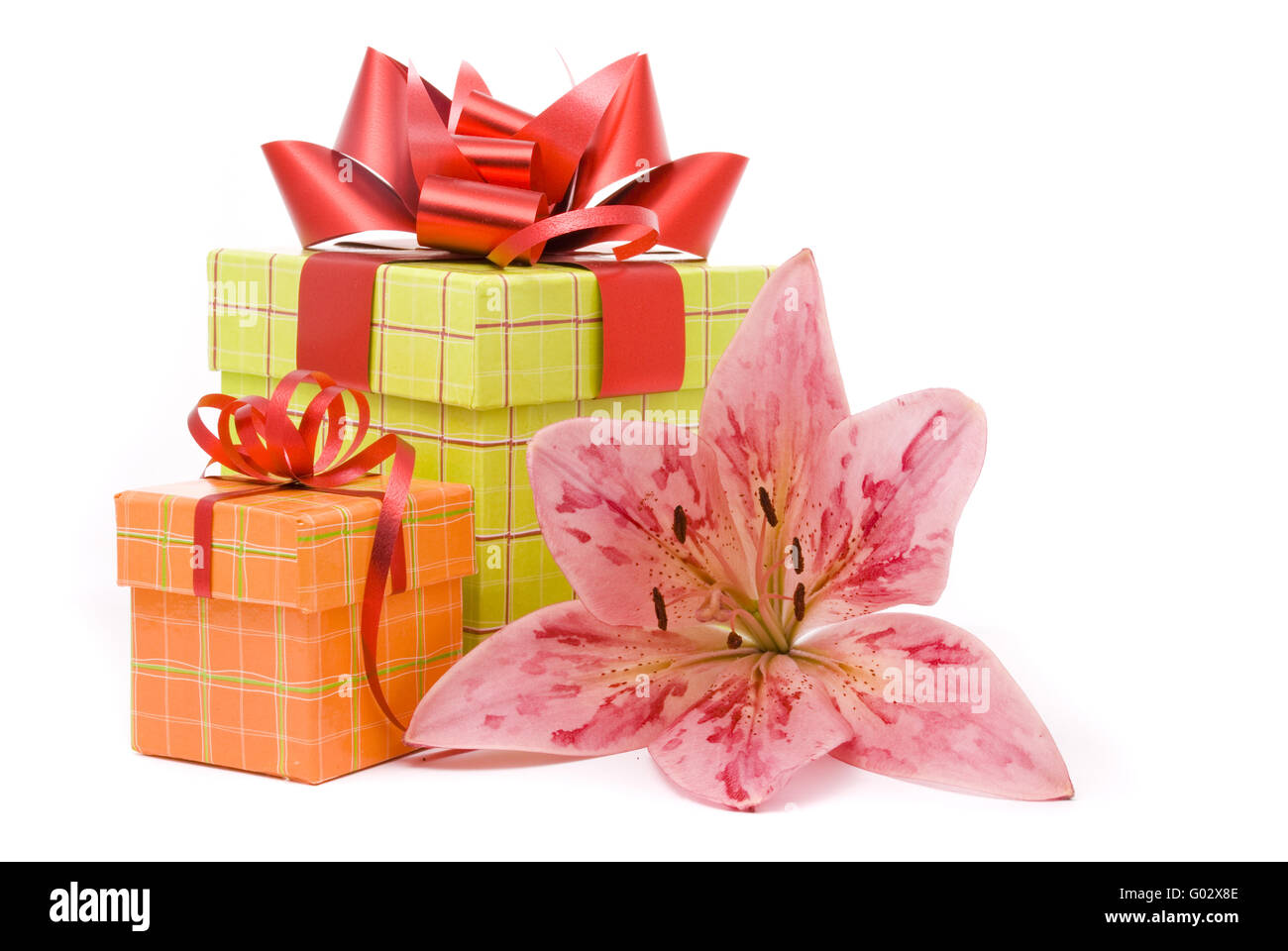Giglio colore rosa e confezioni regalo su sfondo bianco Foto Stock