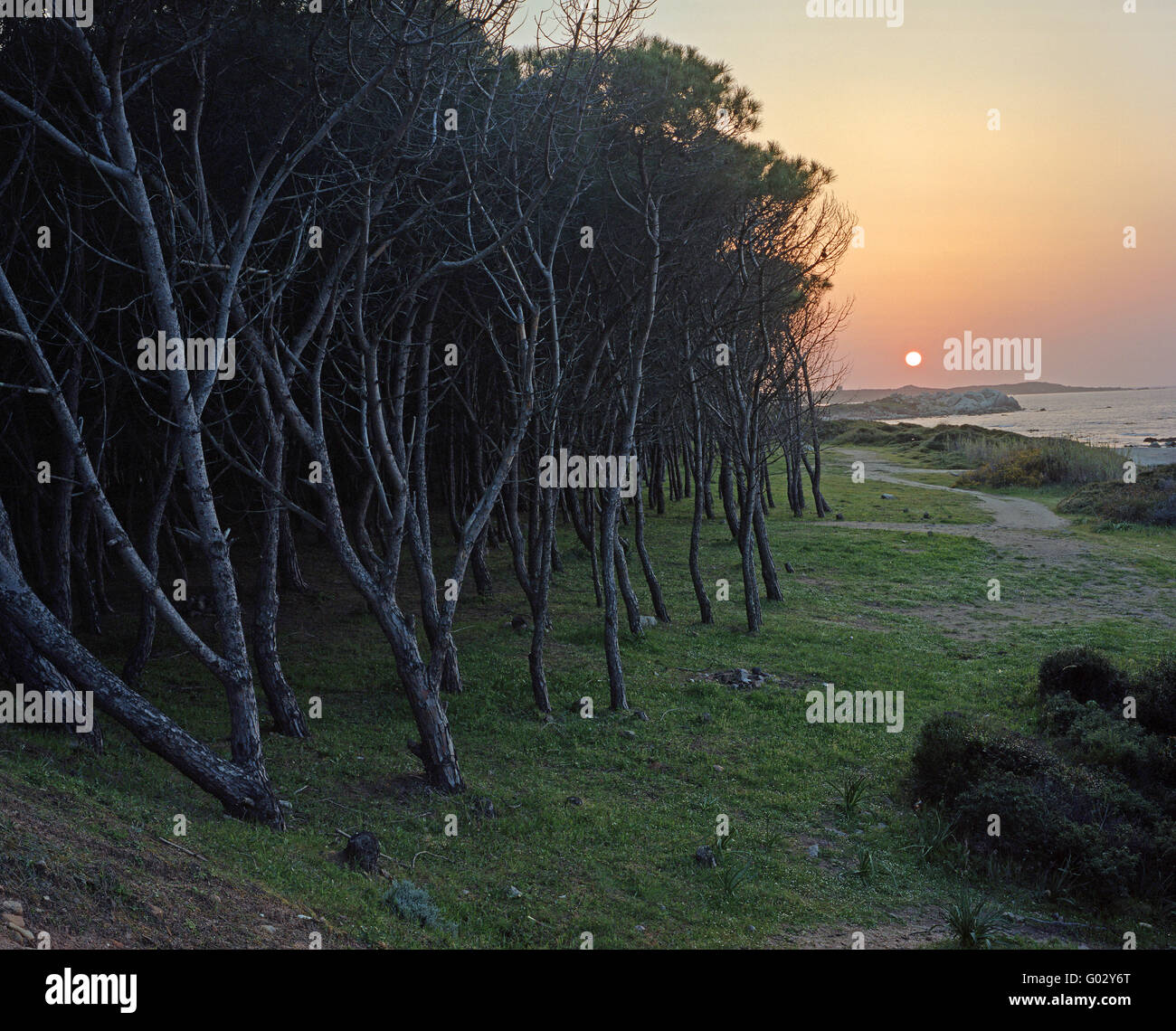 Vignola Mare, Sardinien (Gallura) Foto Stock