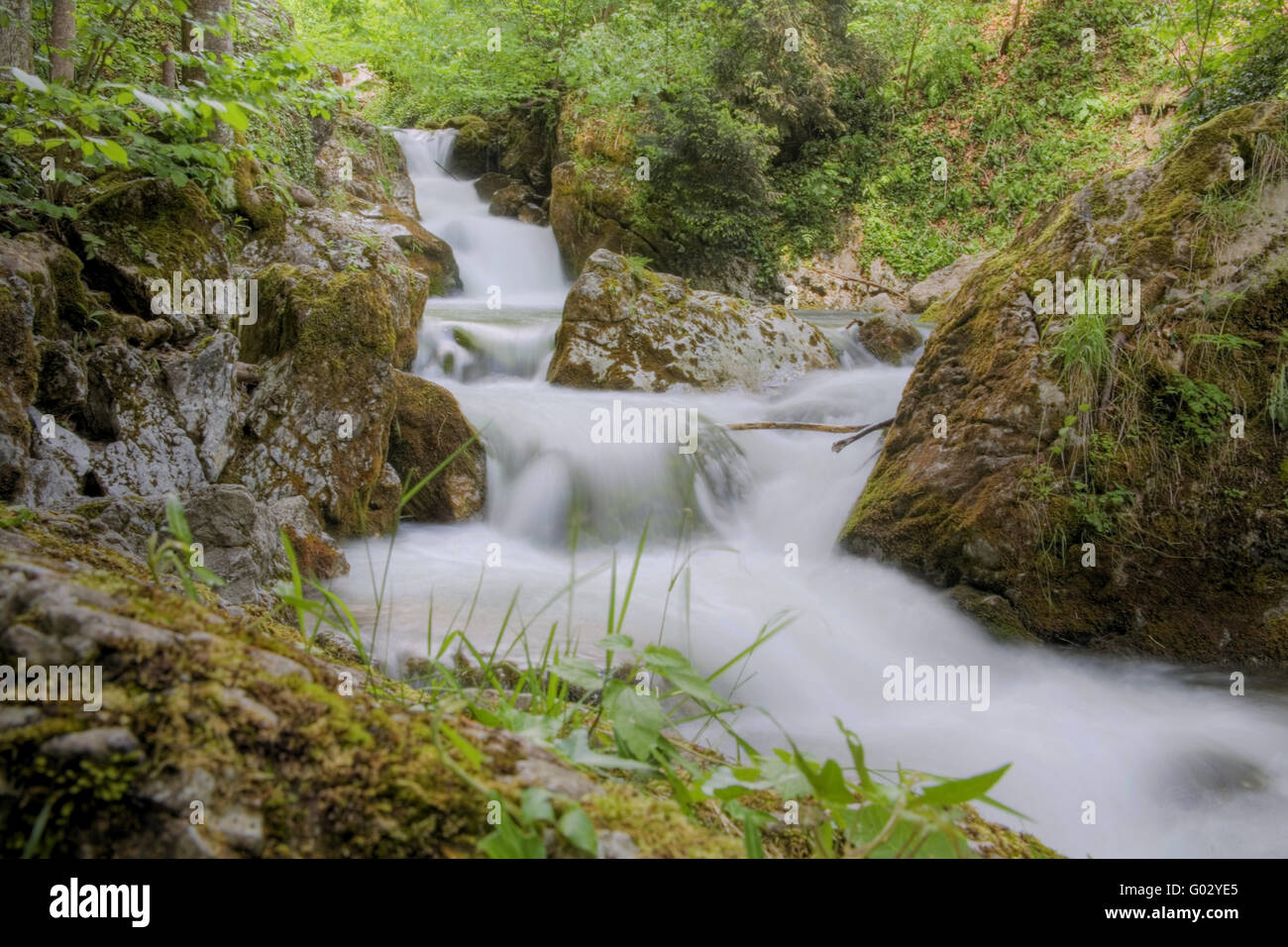 Ruscello di montagna Foto Stock