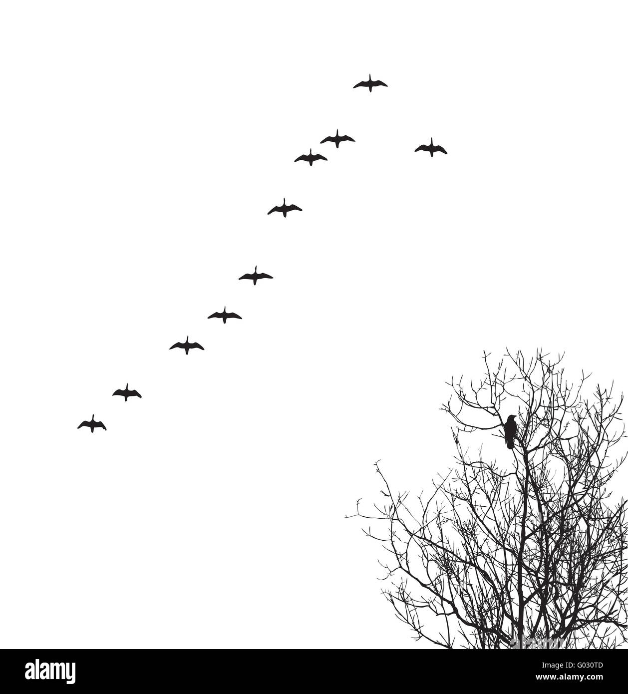 Silhouette di vettore di oche in cielo e crow su albero Foto Stock