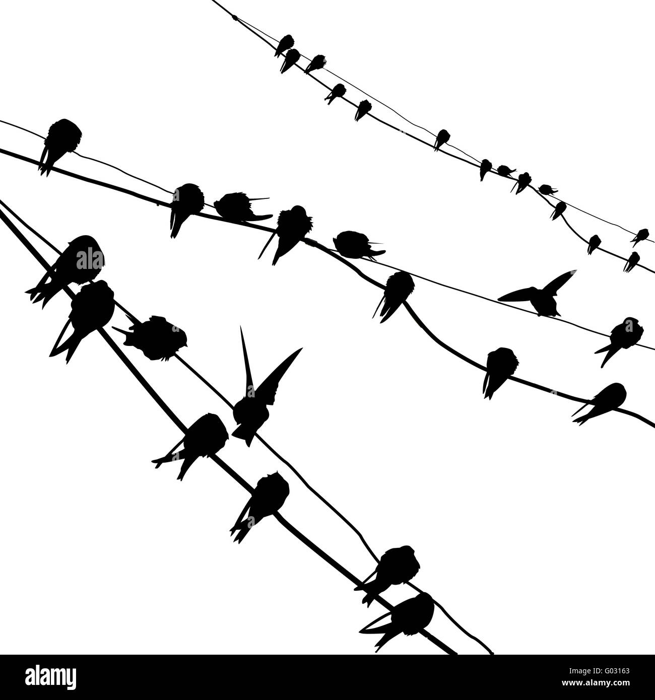 Silhouette di vettore di migrazione swallow reposing sul filo elettrico Foto Stock