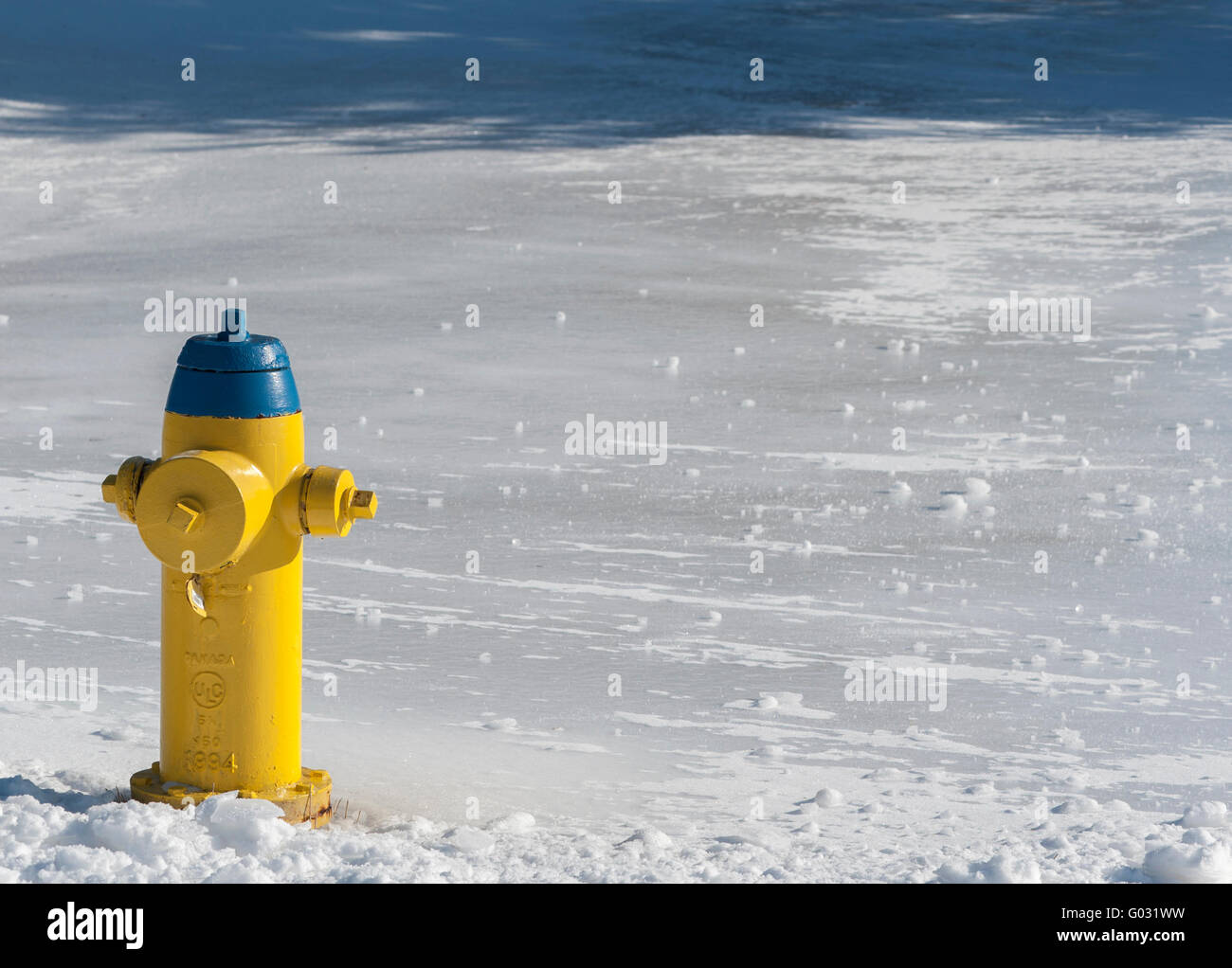 Giallo e blu idrante di fuoco nella neve Foto Stock