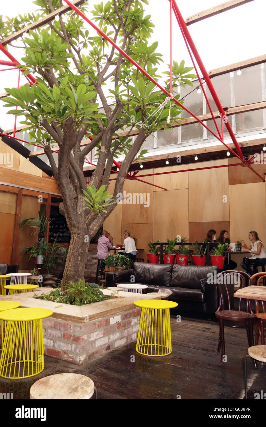 Il cortile del quartiere alla moda di nuova sede Il Beaufort locale, con un enorme albero frangipani, Highgate, Perth, Western Australia. No signor o Foto Stock