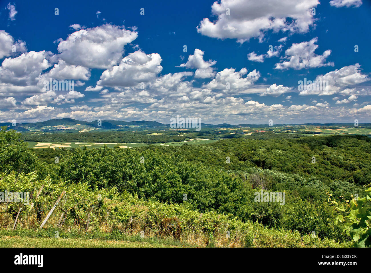 Splendido panorama verde paesaggio sotto il cielo nuvoloso Foto Stock