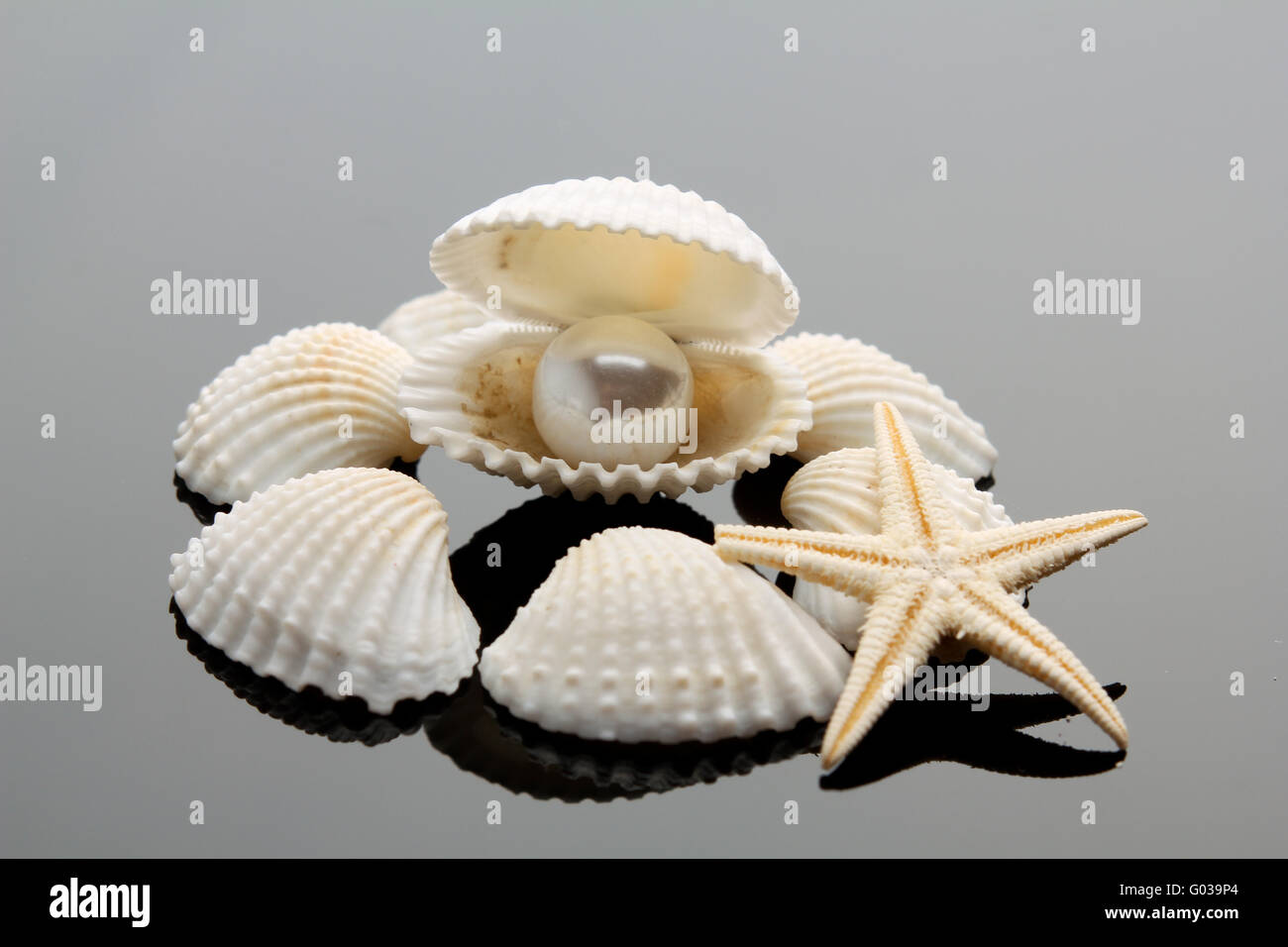 Perla sulla conchiglia . Il mare esotici shell . tre Foto Stock